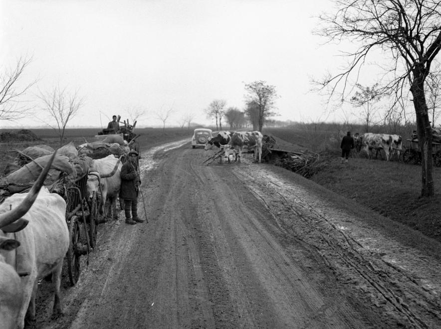 Baleset, Baranyaszentistván, 1940.