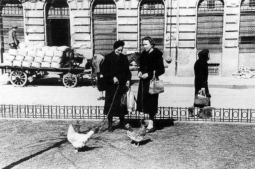 Csirkét legeltető pesti háziasszonyok 1946 tavaszán.