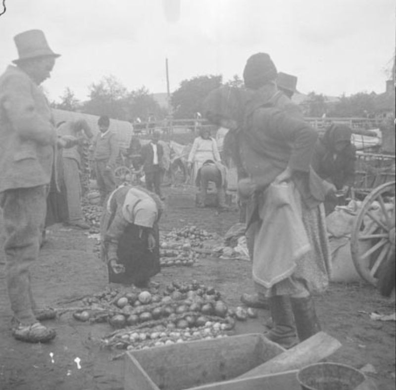 Hagymaárusok. Jára, 1948.