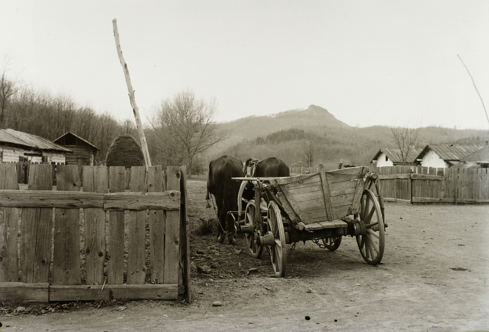 Inászó, háttérben a Pécskő-hegy. 1925.