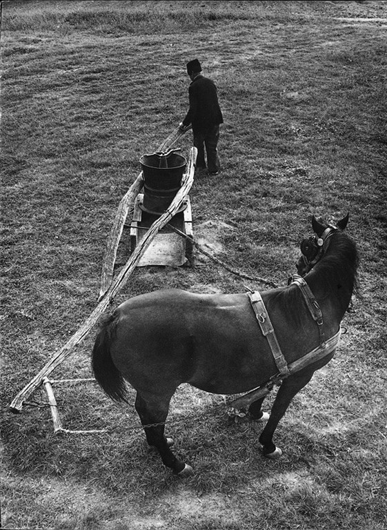 Járgány. Lóval működtetett daráló, Tiszakécske, 1983.