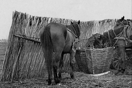 Kerekjászol és szélfogó karám, Hajdúböszörmény (Hajdú vm.) 1955.