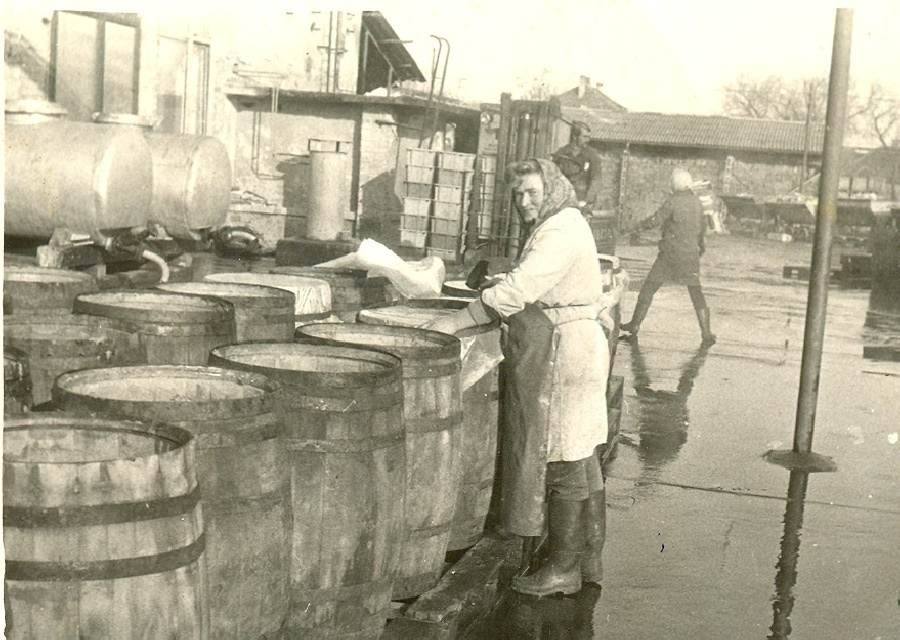 Konzervgyár Dunakesziben az 1970-es években.