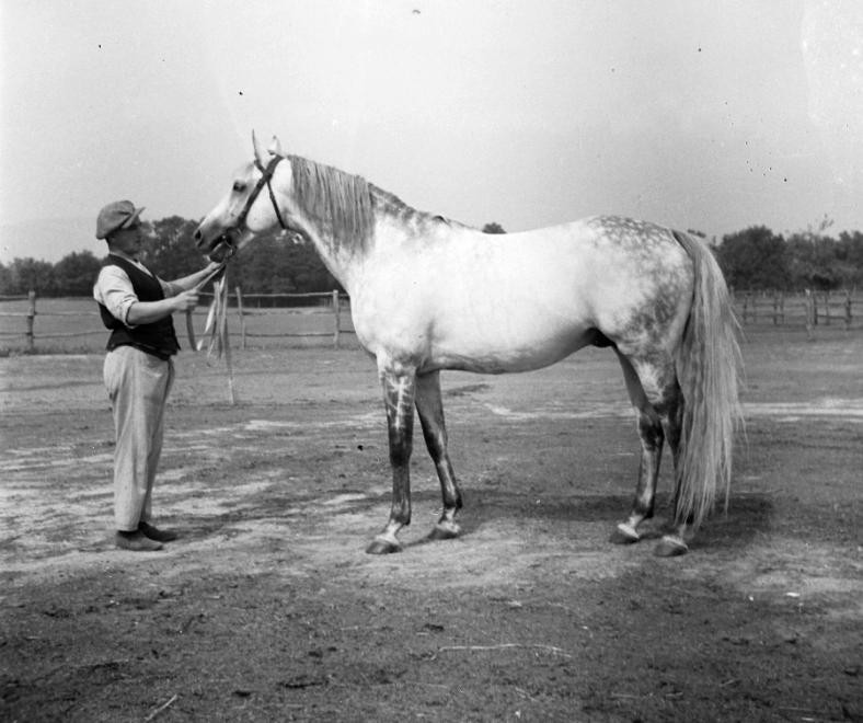 Ló és trénere, 1938.0