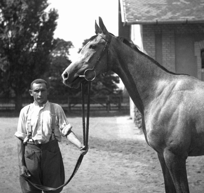 Ló és trénere, 1938.1
