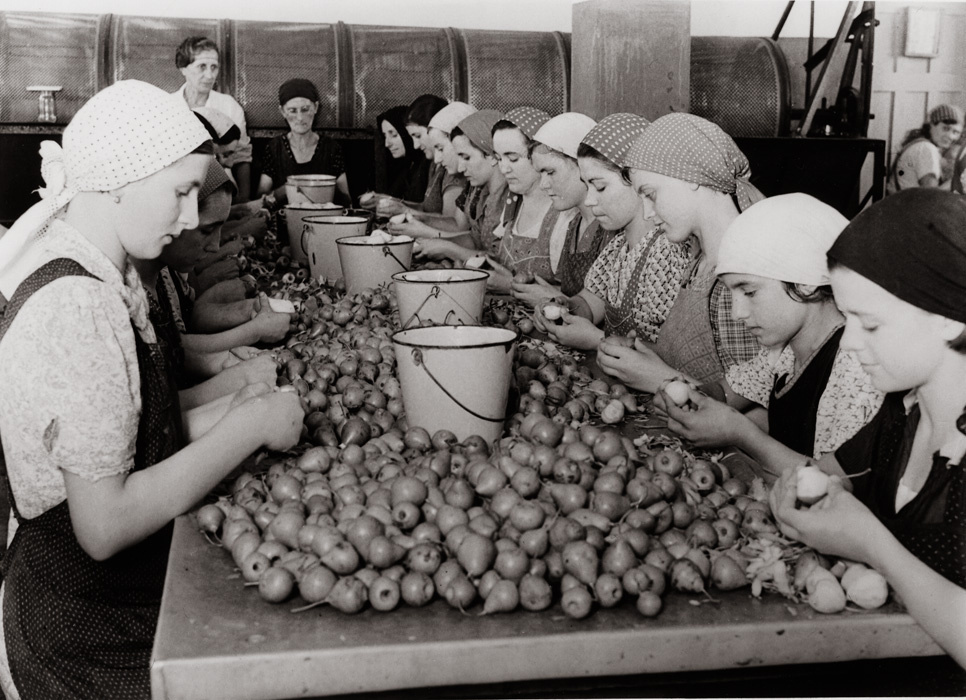 Női munkások egy konzervgyárban, 1930-as évek.