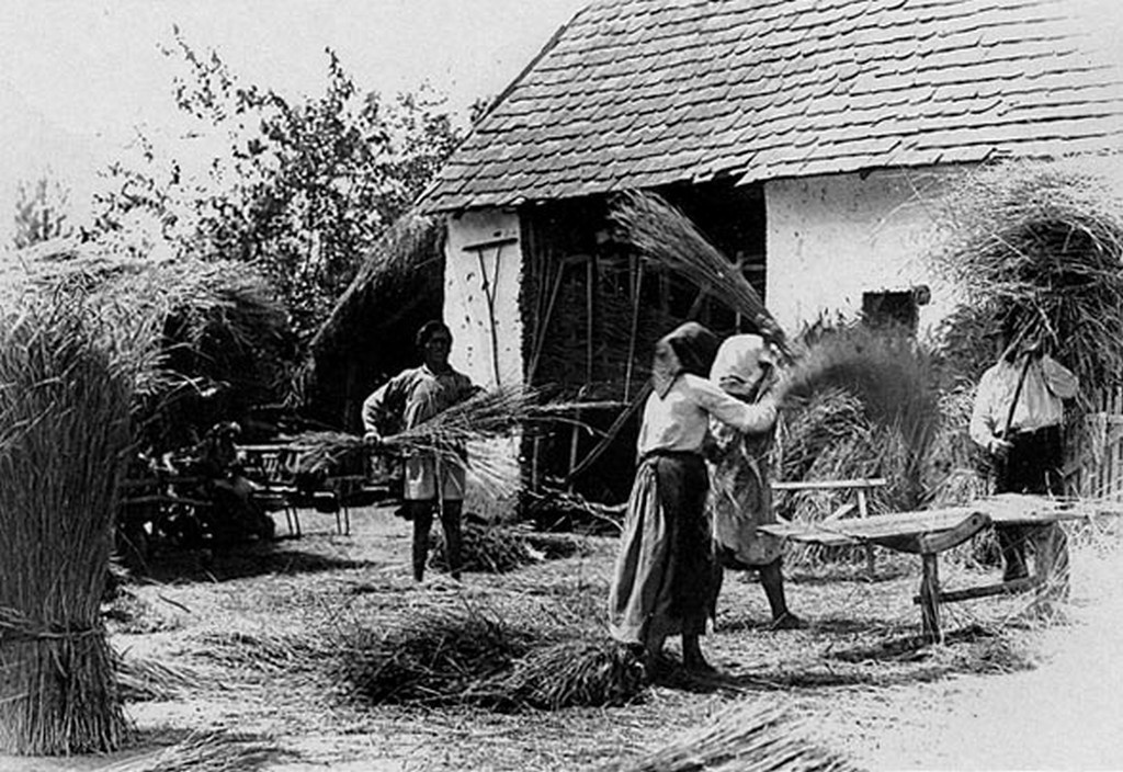 Rozscséplés deszkához verdeséssel, Adorjás (Baranya vm.) 1934.