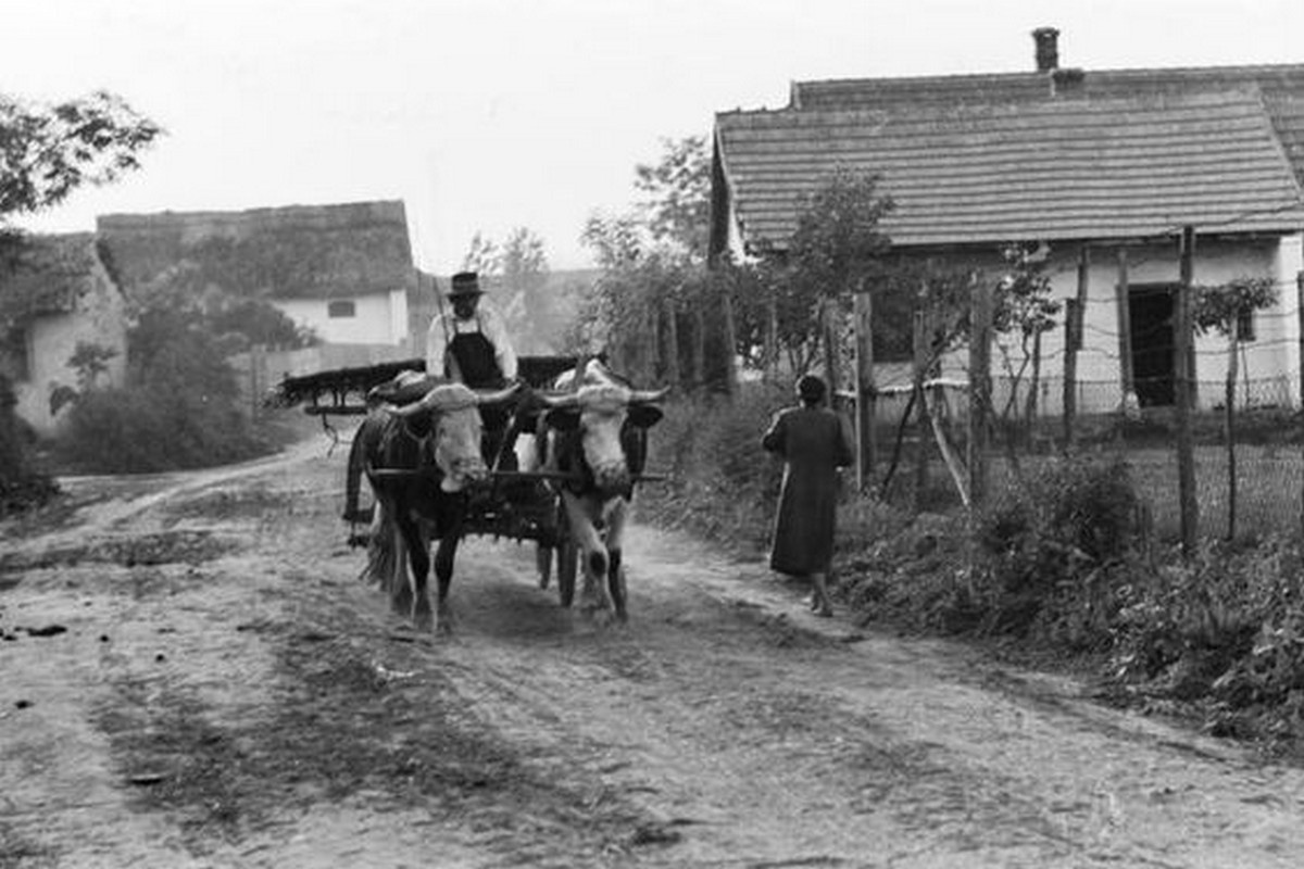 Valahol Magyarországon 1939.