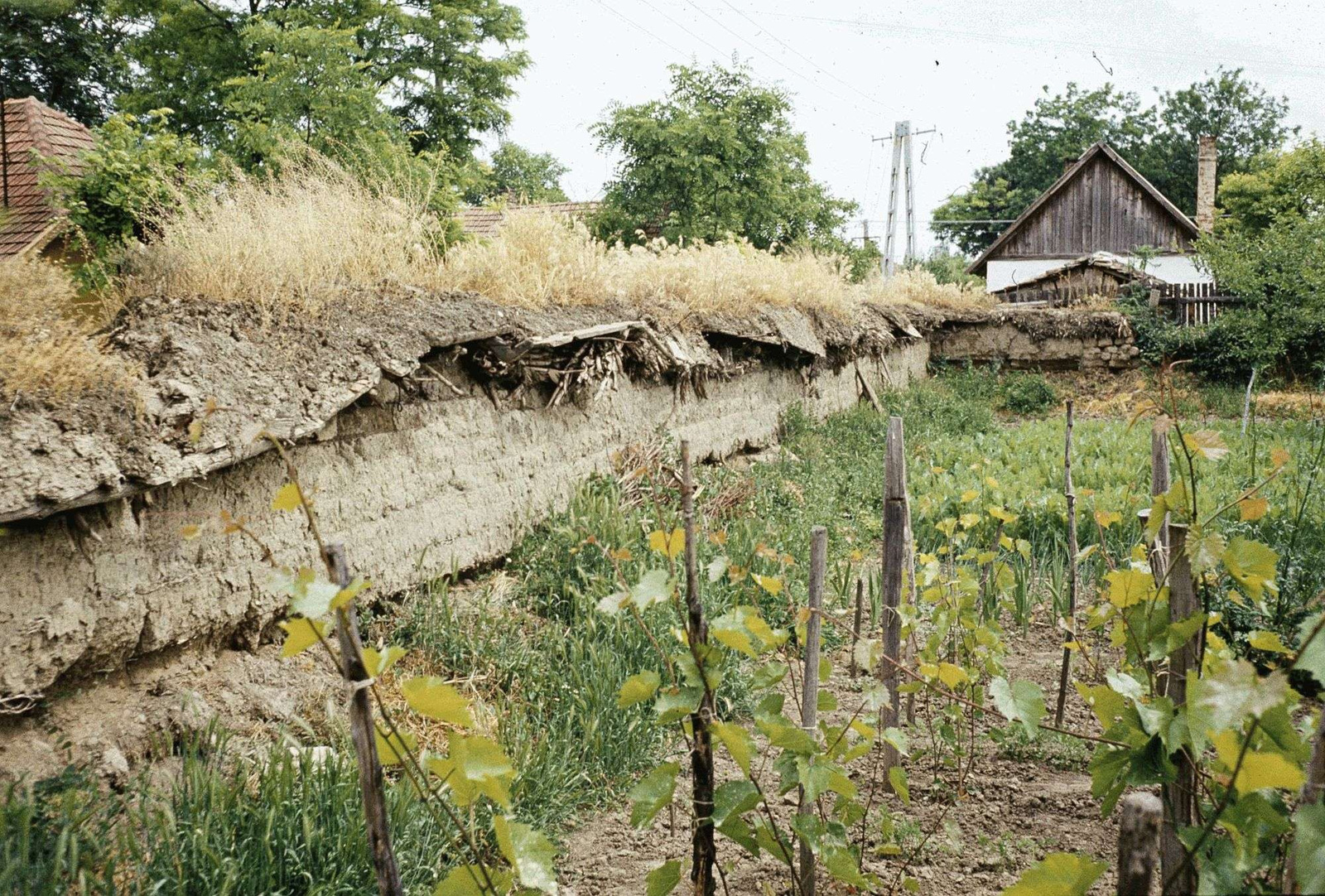 Meseszerű képek a múltból, múltról... (118)