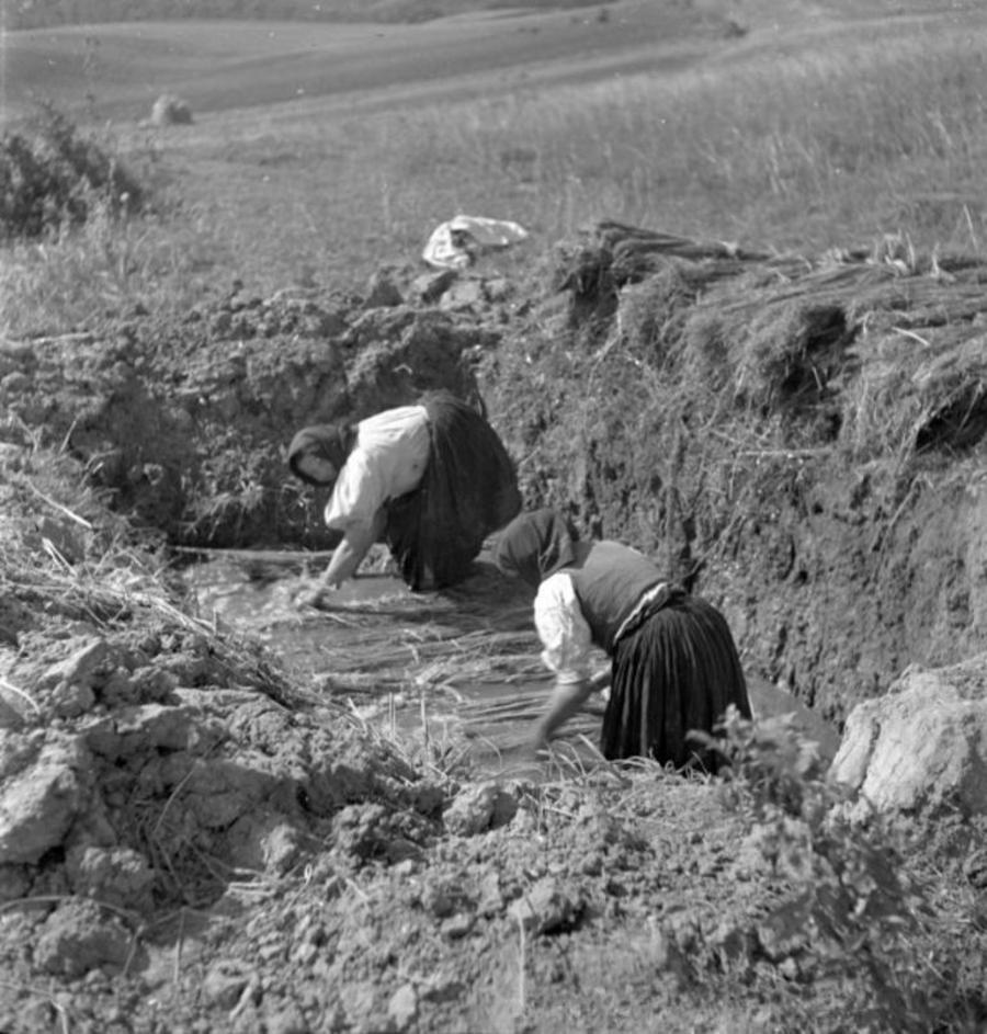 Kenderáztatás. 1935. 768x805 900x943