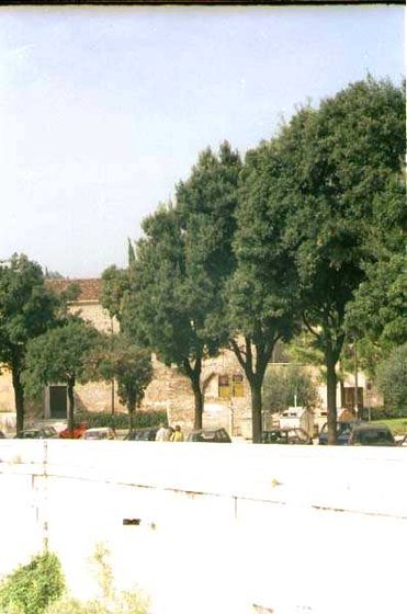 110-Verona