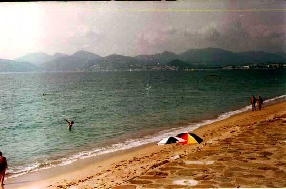 241-Cannes, Margó