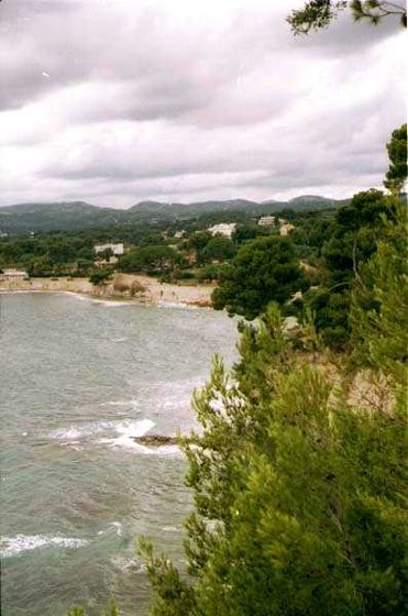 275-Cassis