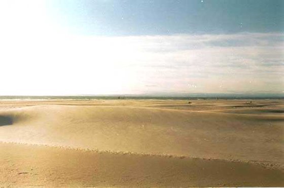 318-Le-Crau-Du-Roi, homokdünék