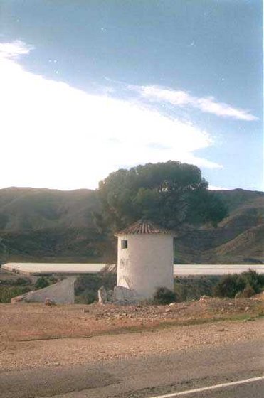 492-Tabernas