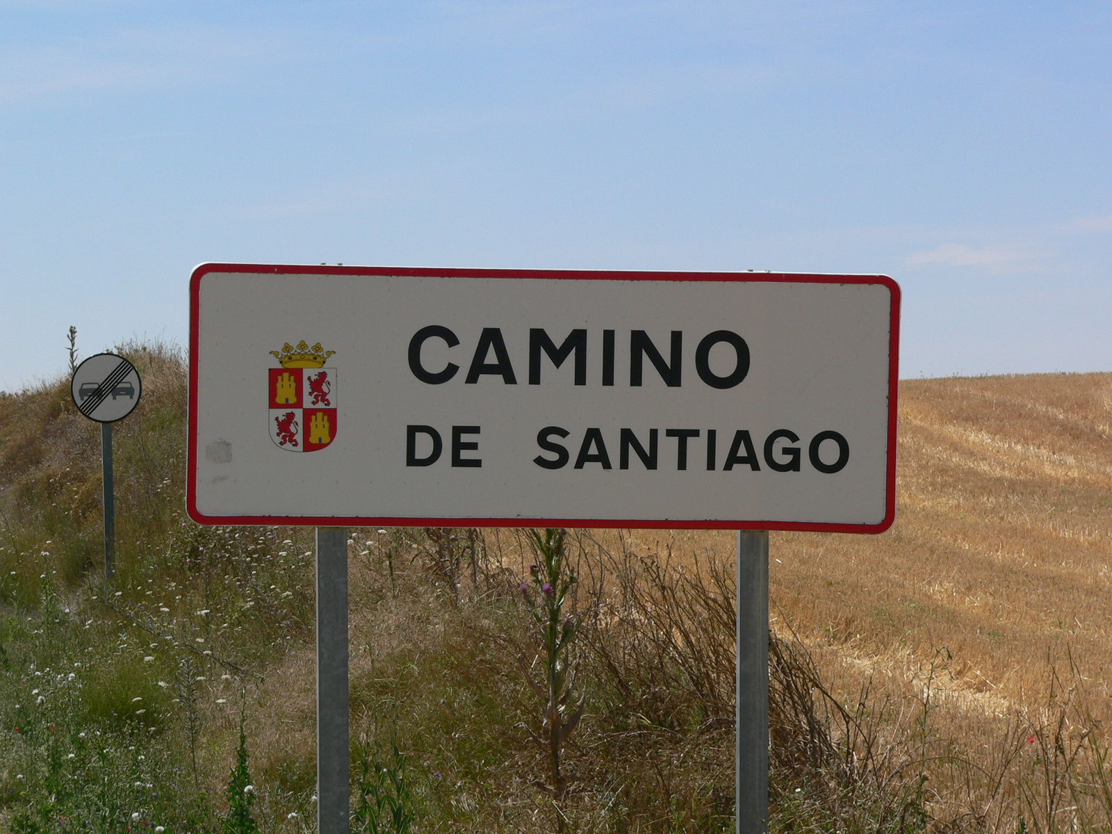 camino 245