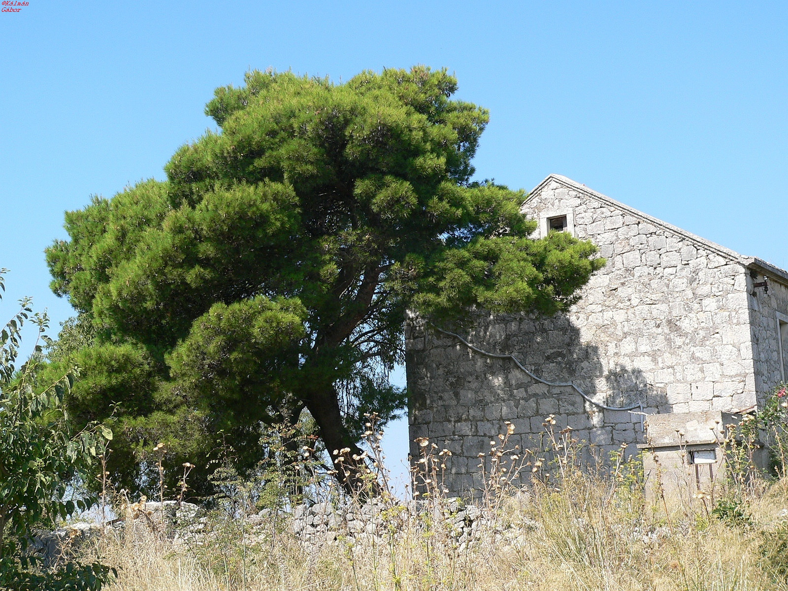 083 - Hvar sziget