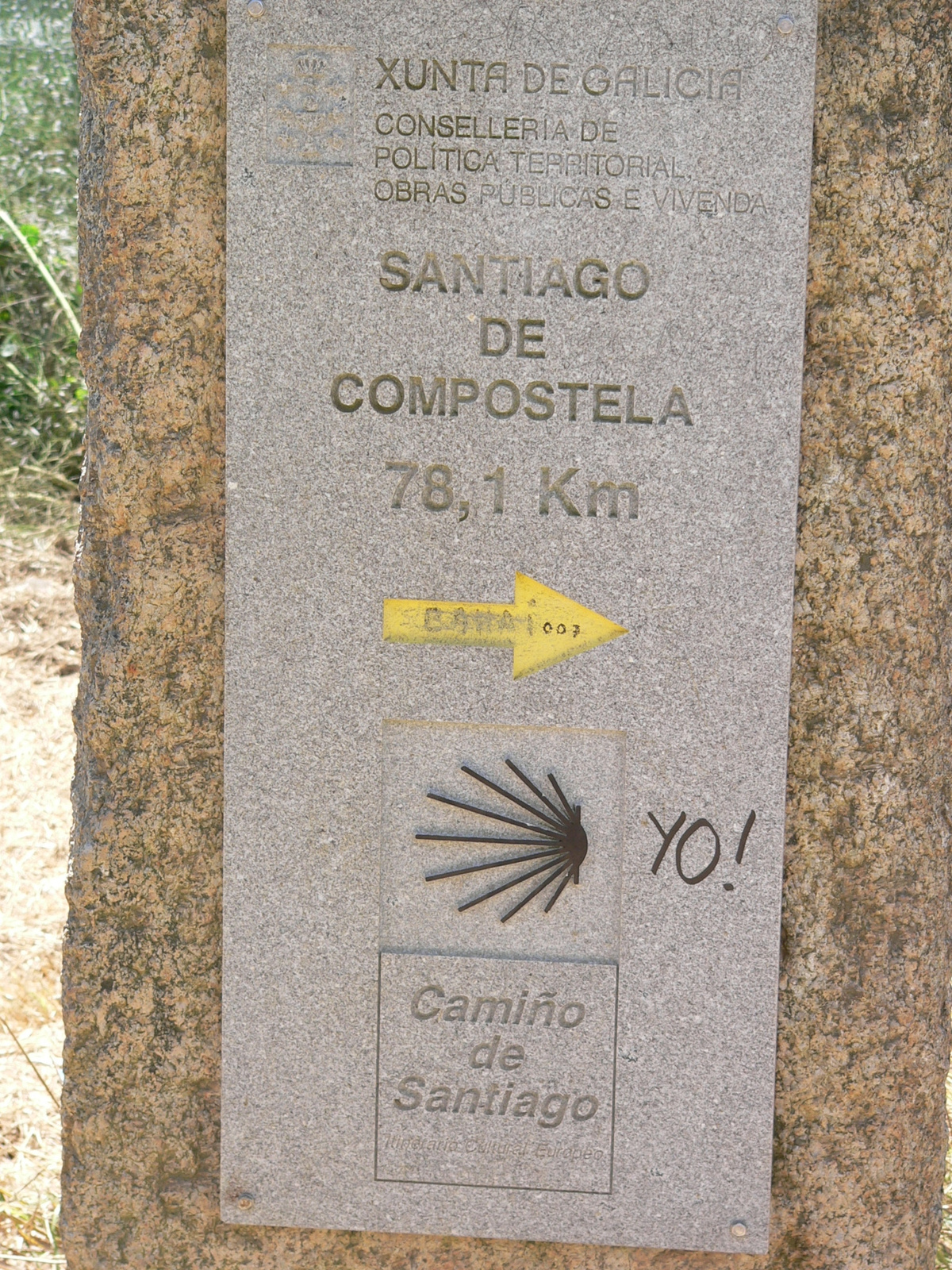 camino 481