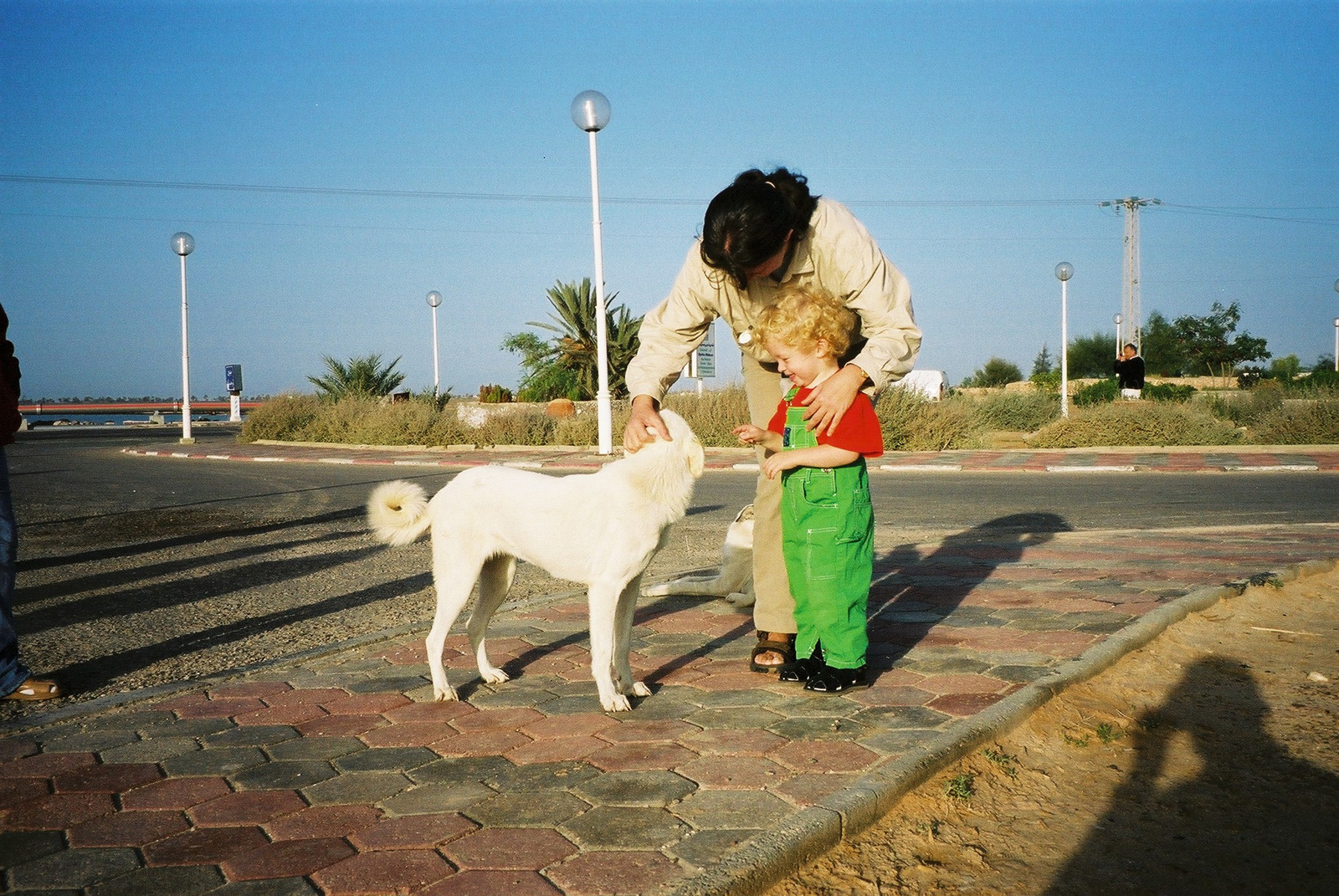 116-DJERBA-El Kantara