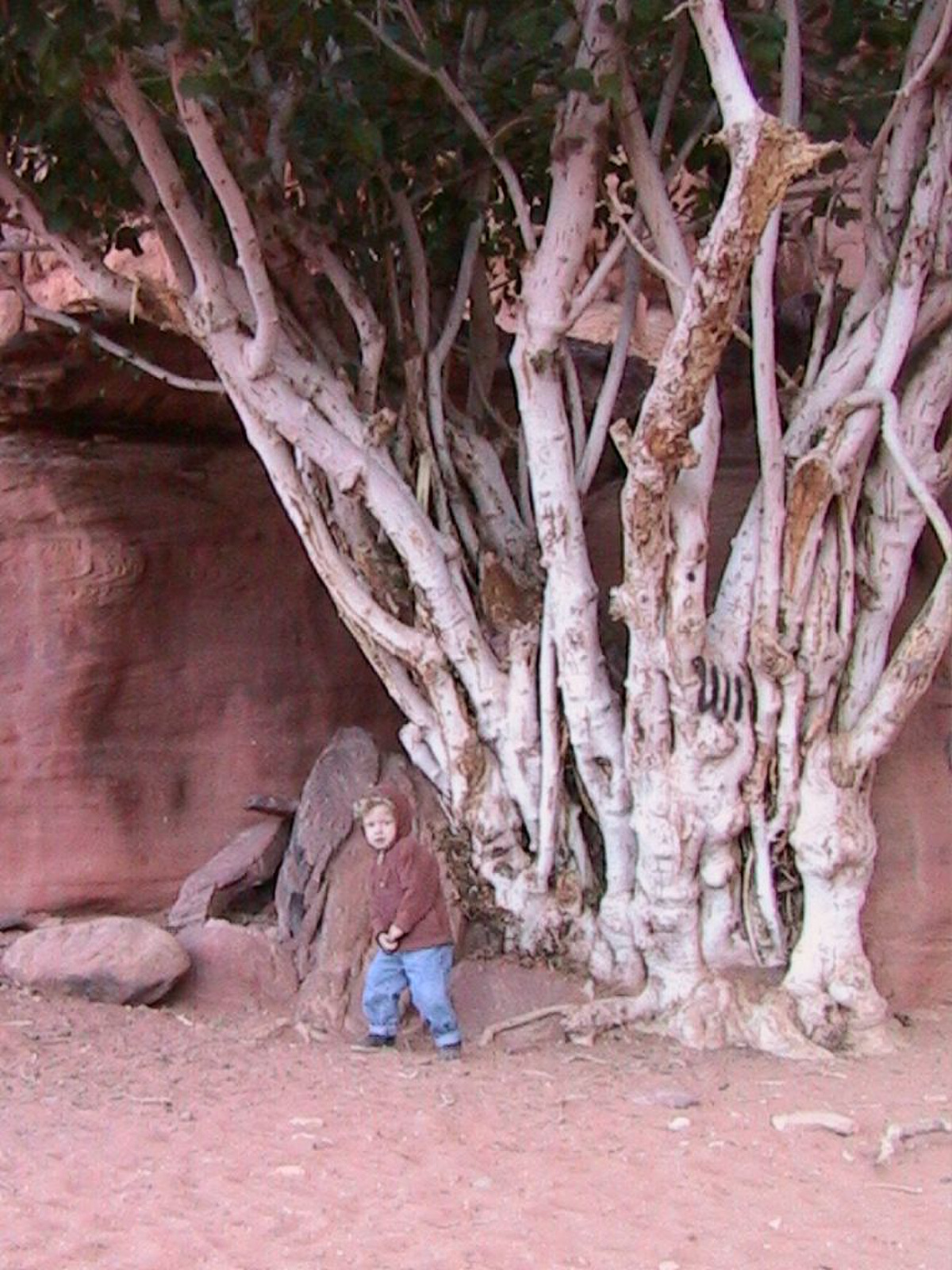 0213 - Wadi Rum