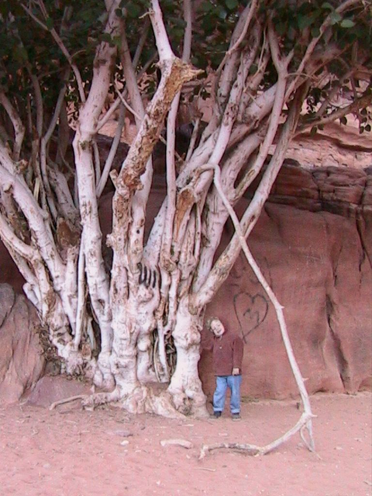 0212 - Wadi Rum