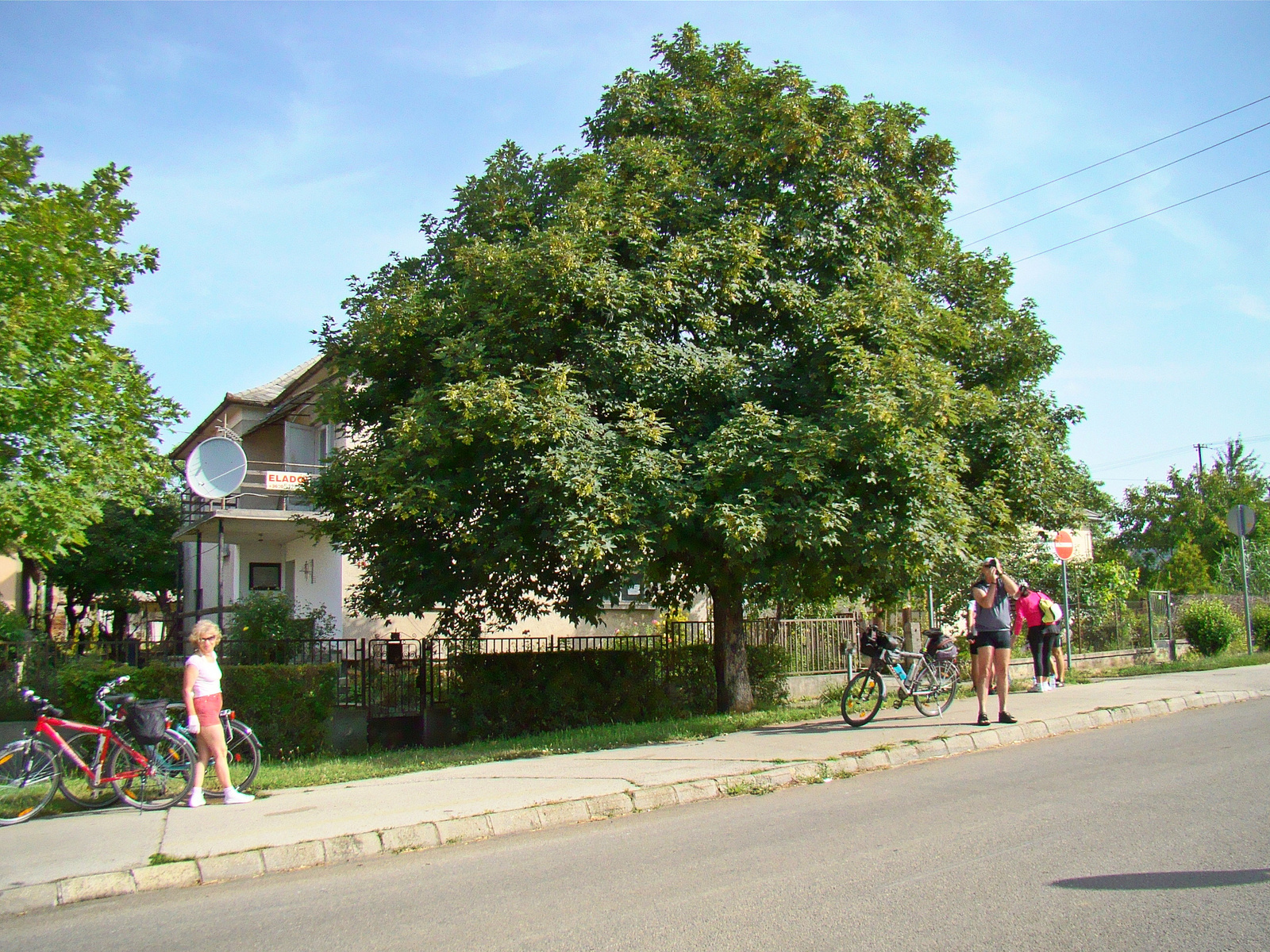 2014 július 5 Veszprémtől Balatonfüredig hajókázos bringatúra (1