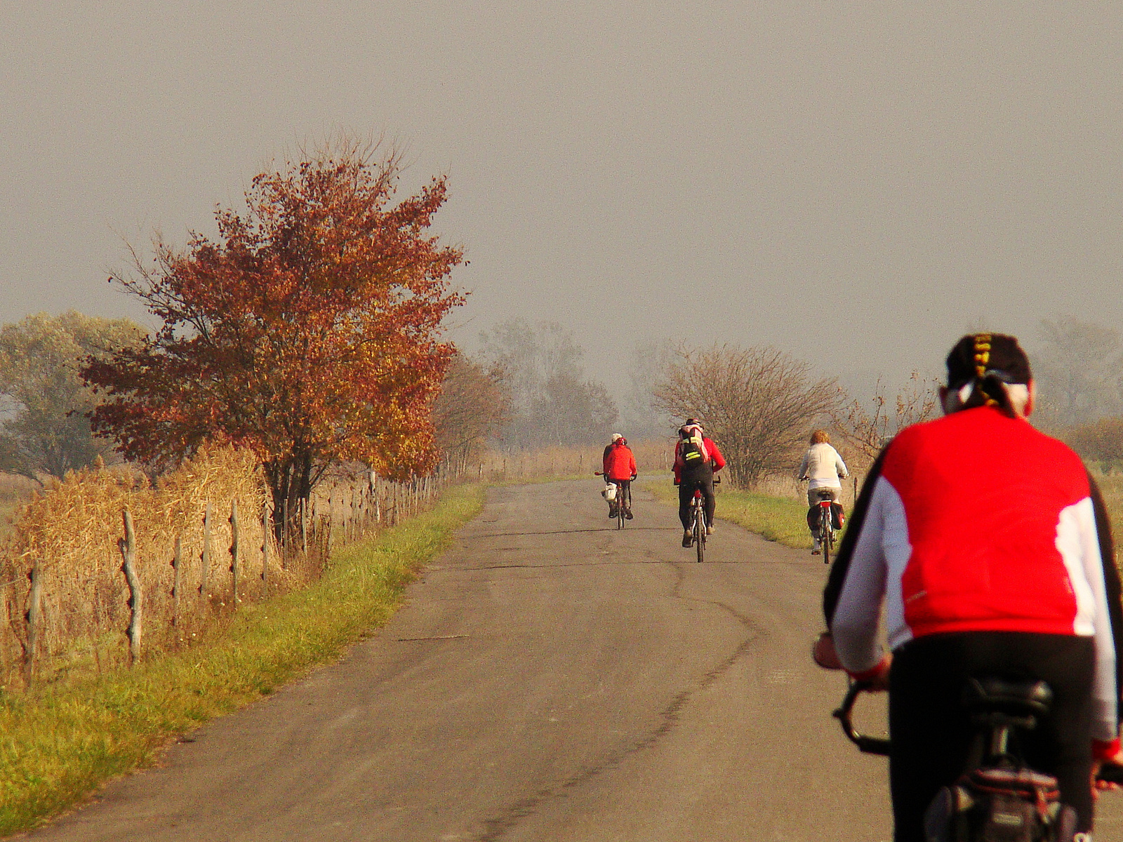 2015 november 8 Kunszentmiklóstól Taksonyig bringatúra (96)