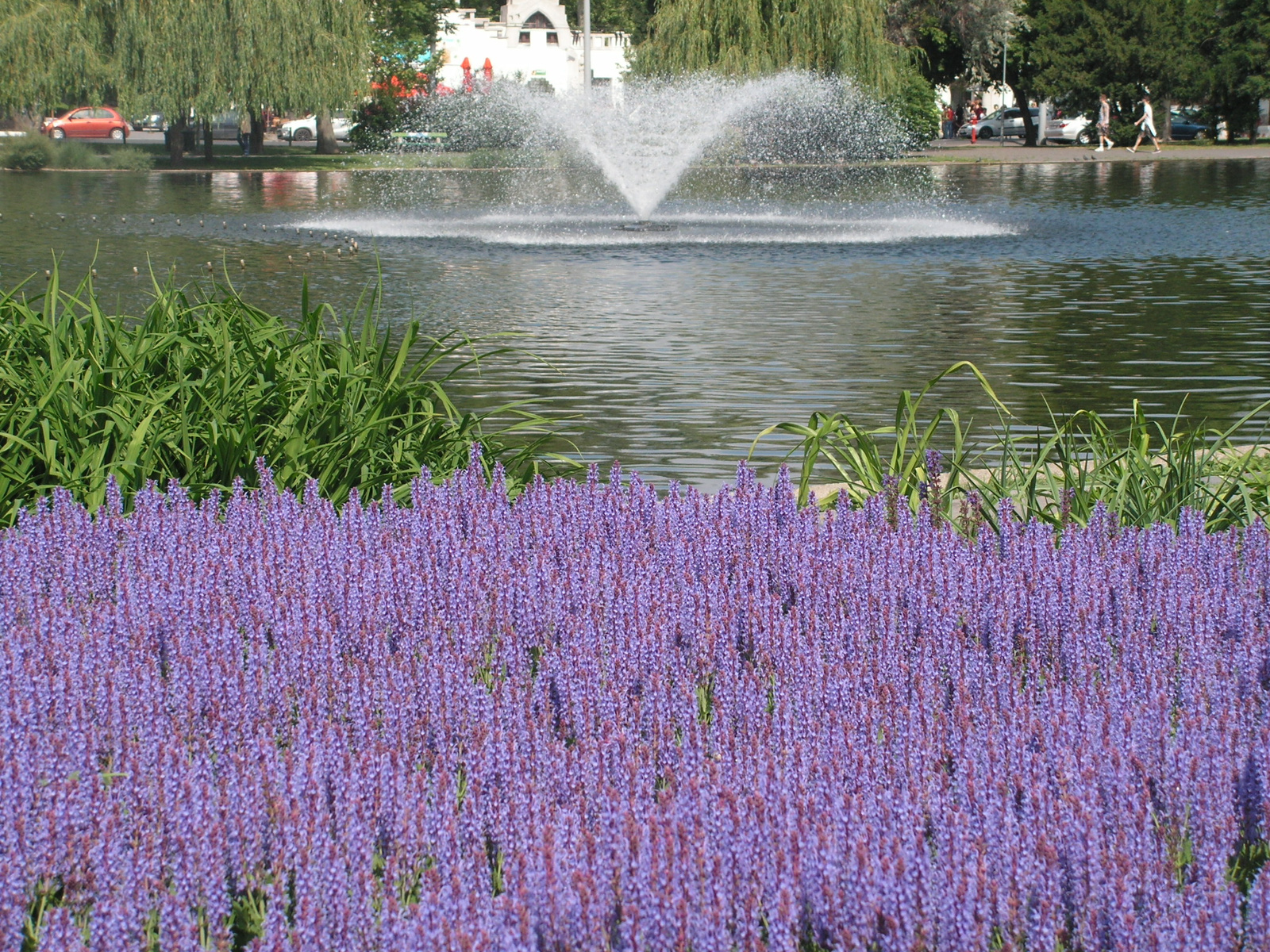 Budapest, a Városliget, SzG3