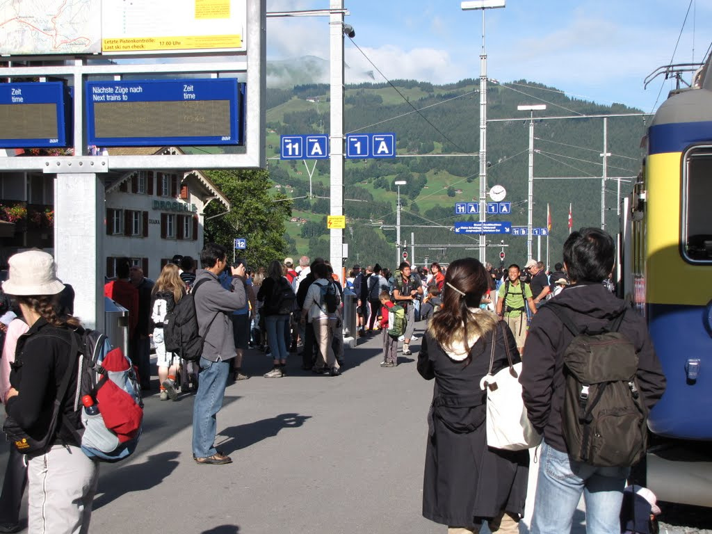 Grindelwald, SzG3