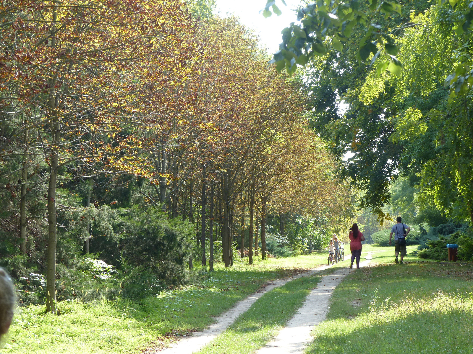 Kecskemét, az Arborétum, SzG3