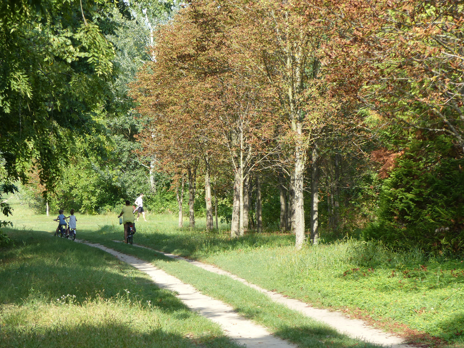 Kecskemét, az Arborétum, SzG3