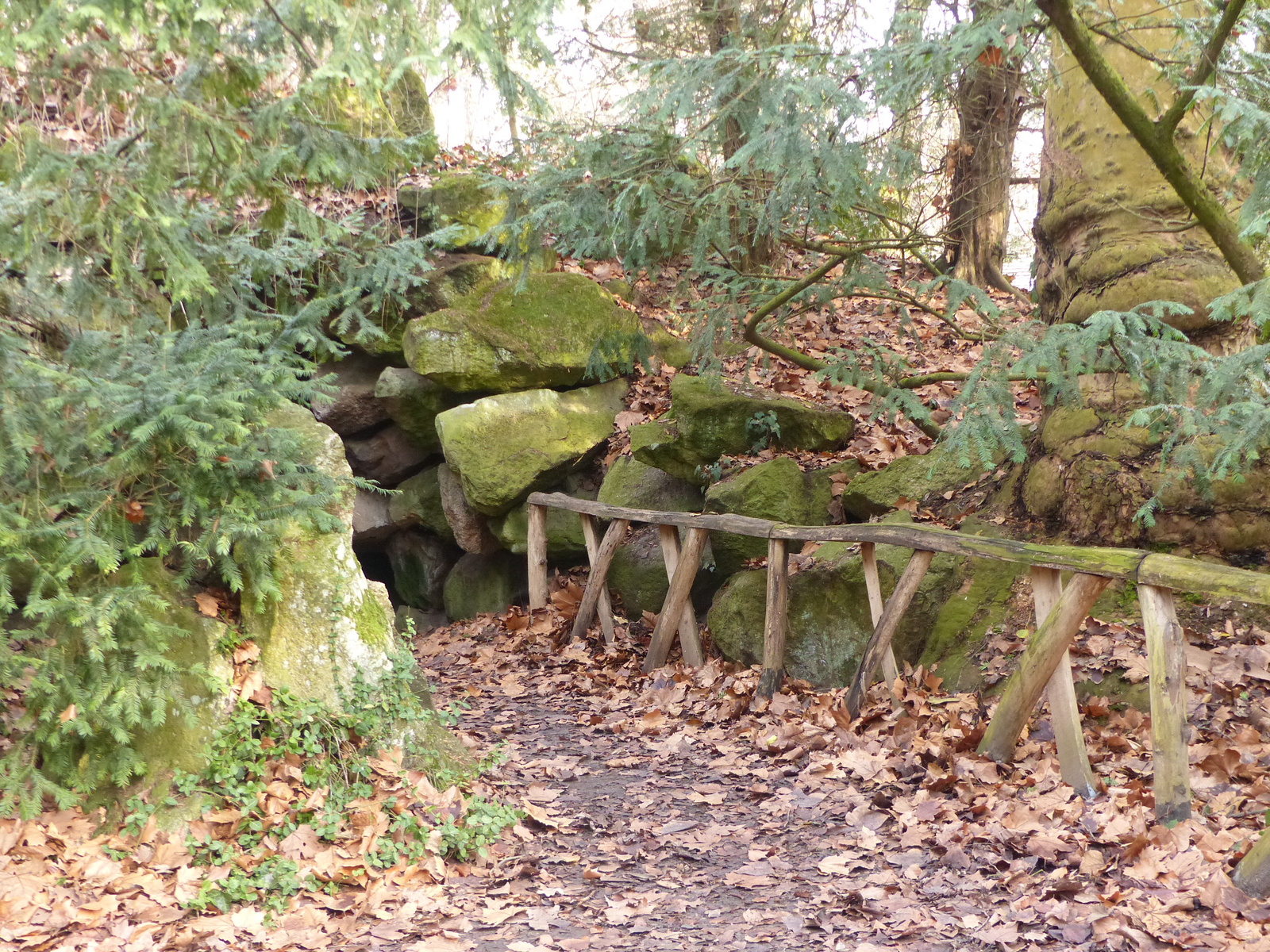 Vácrátót, a Botanikus kert télen, SzG3