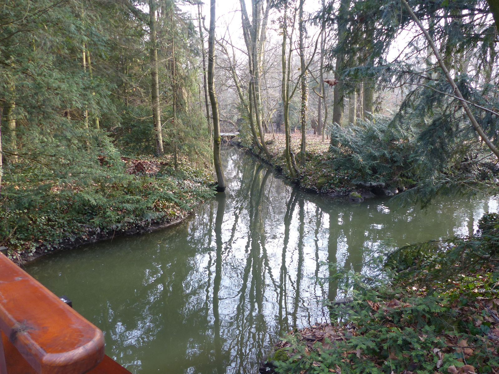 Vácrátót, a Botanikus kert télen, SzG3