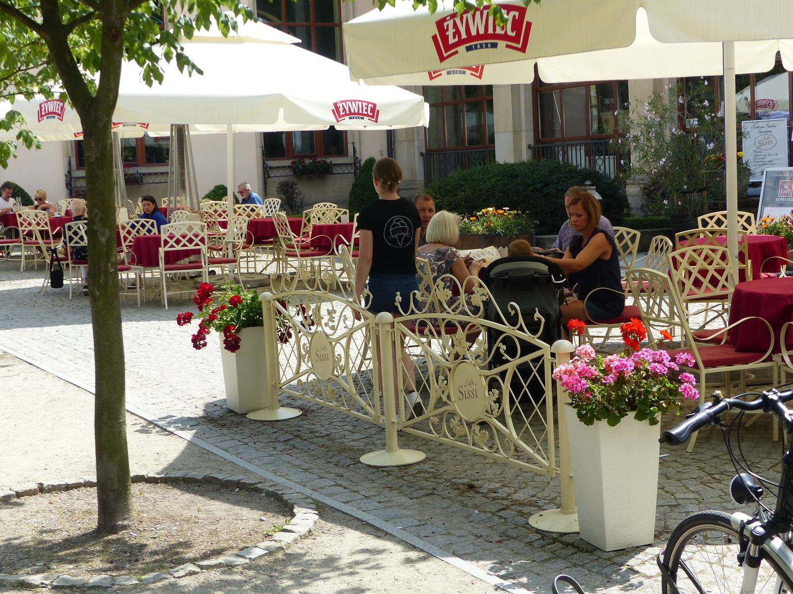 Kudowa-Zdrój, Cafe Sissi, SzG3