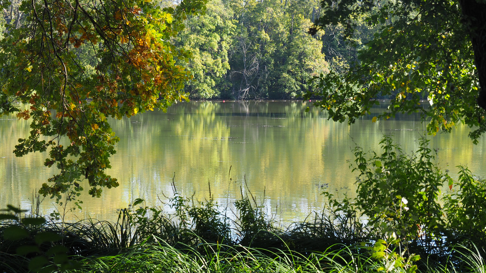 Ausztria, Laxenburg, SzG3