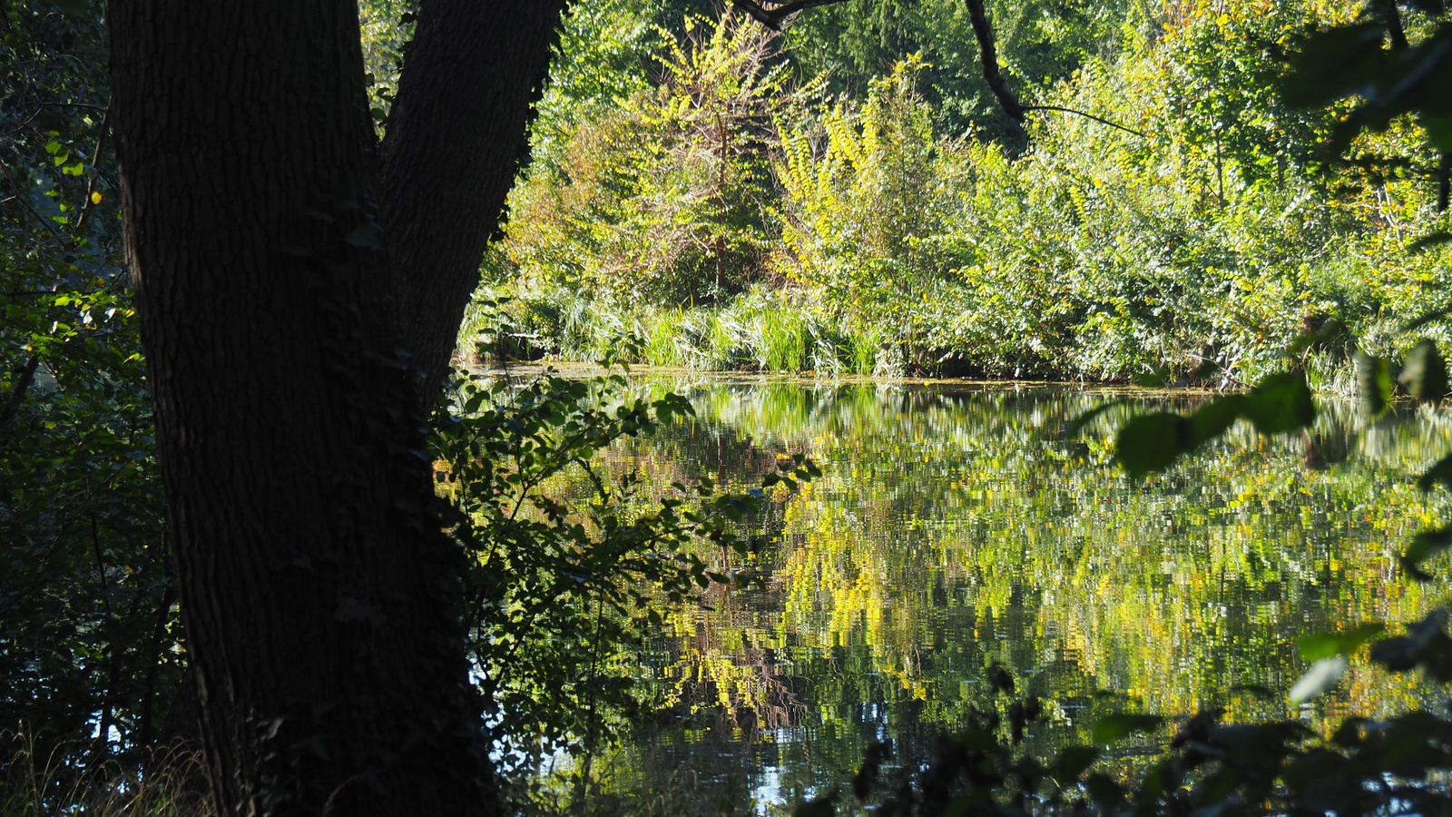 Ausztria, Laxenburg, SzG3