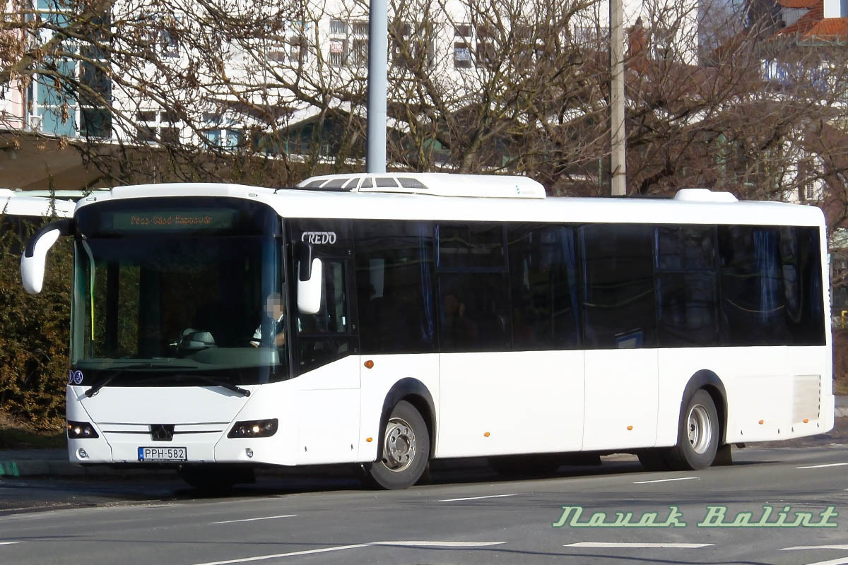 PPH-582