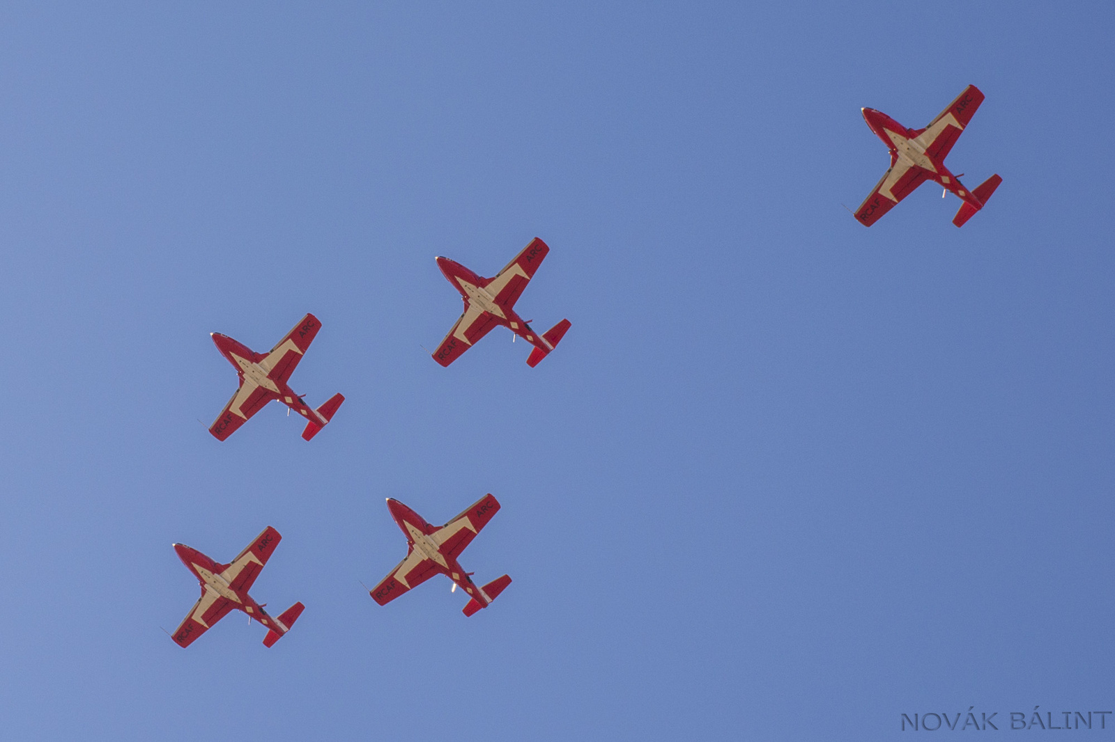 Snowbirds on downwind