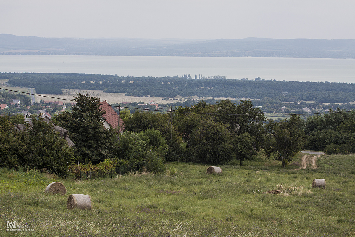 Halom hegyről a Balaton