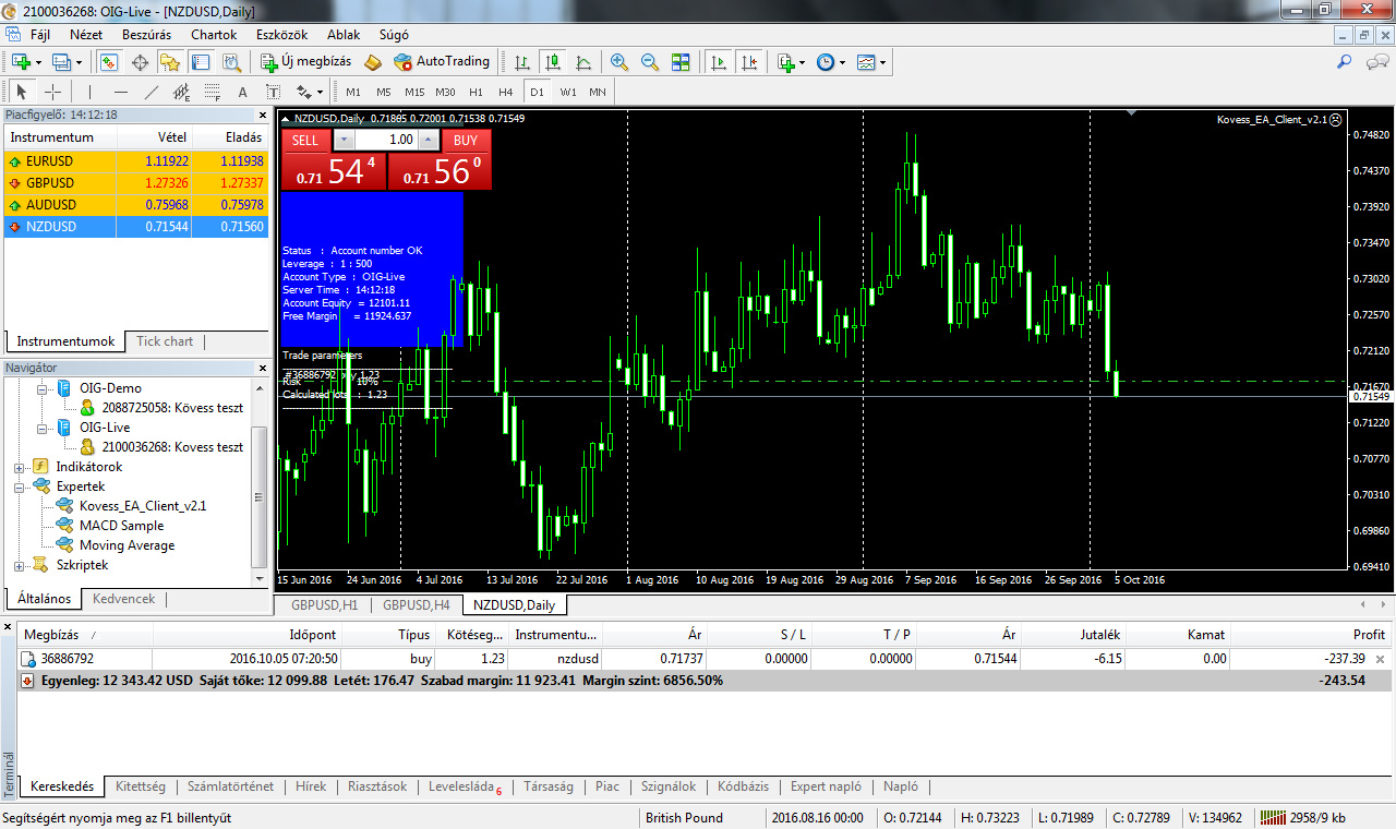 0060 kép - NZDUSD +20% hozam - Saját tőke: 12 099 USD