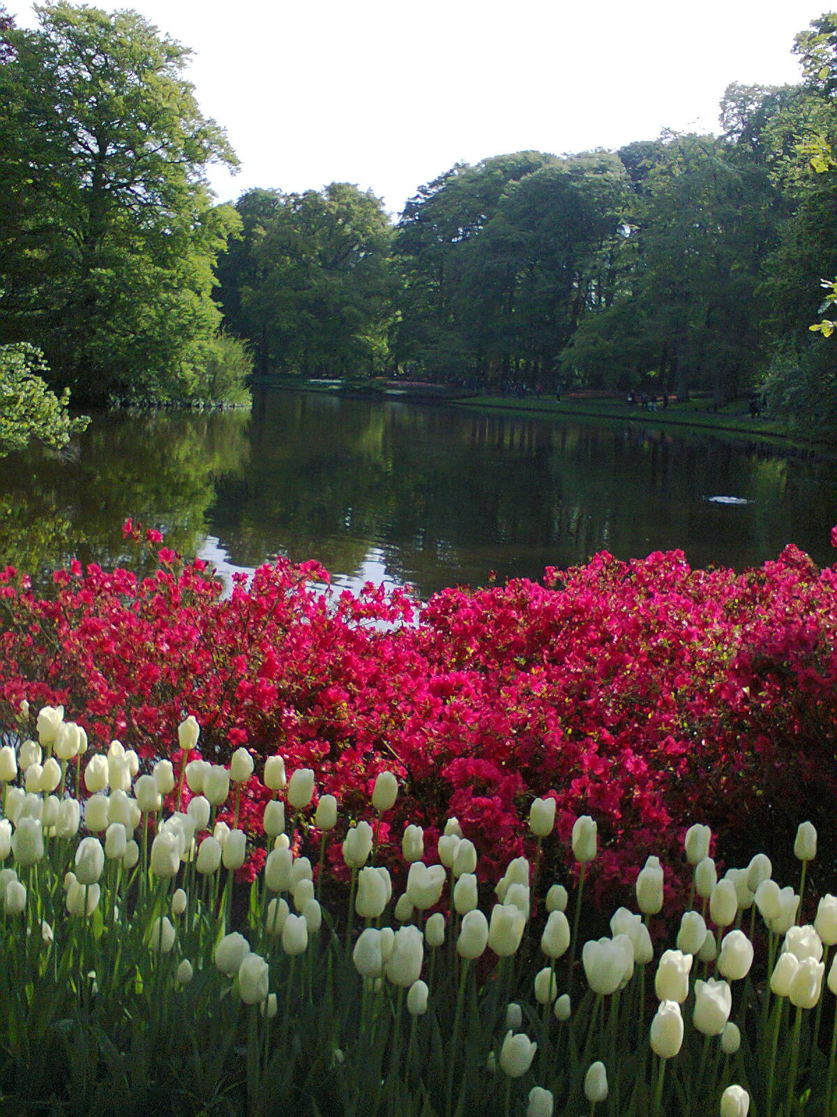 Keukenhof