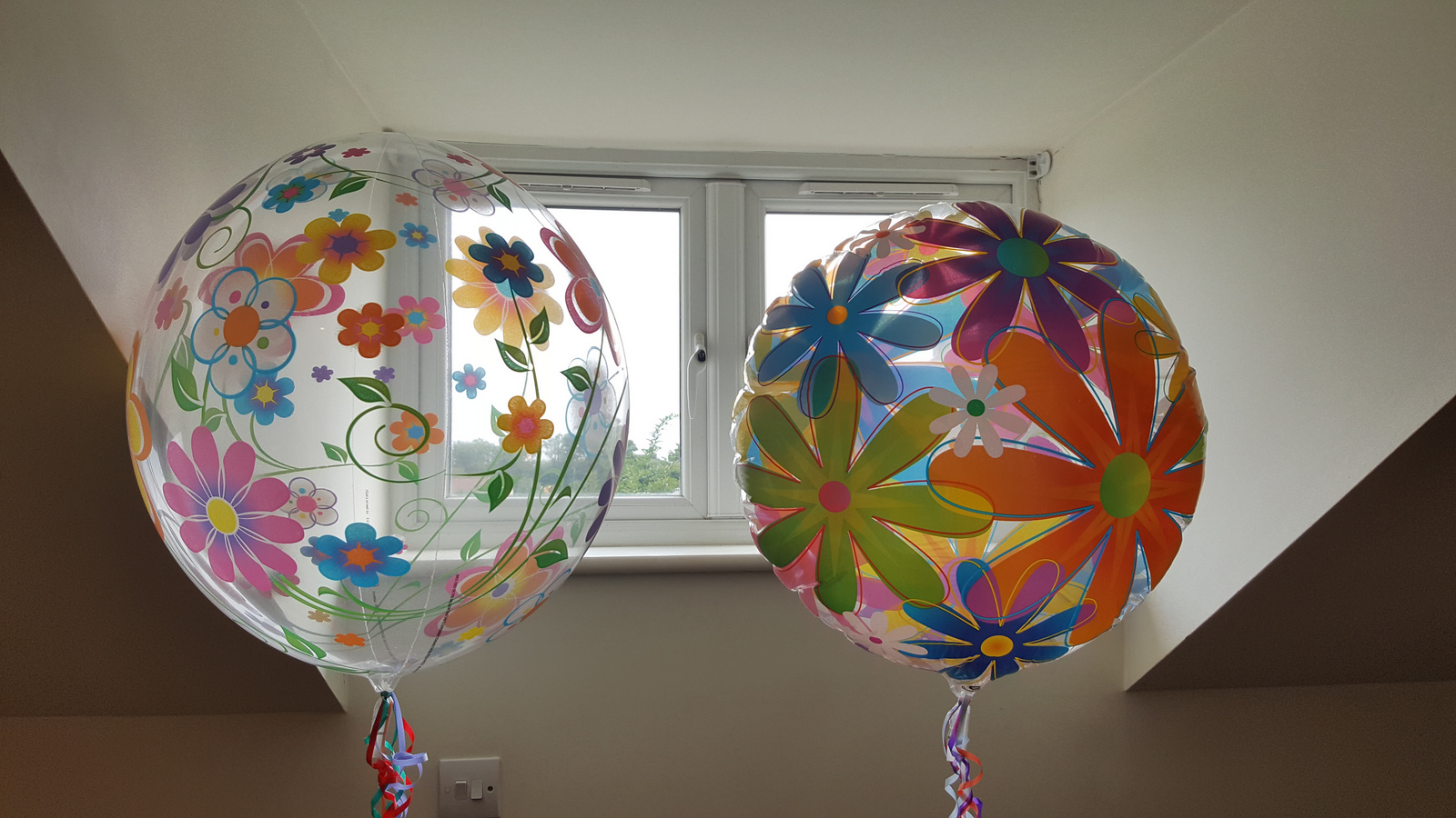 BALLOONS FOR EVIE 2