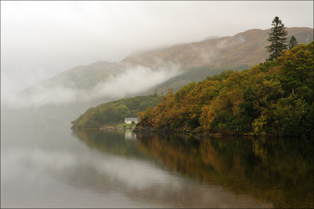 Morning By The Loch