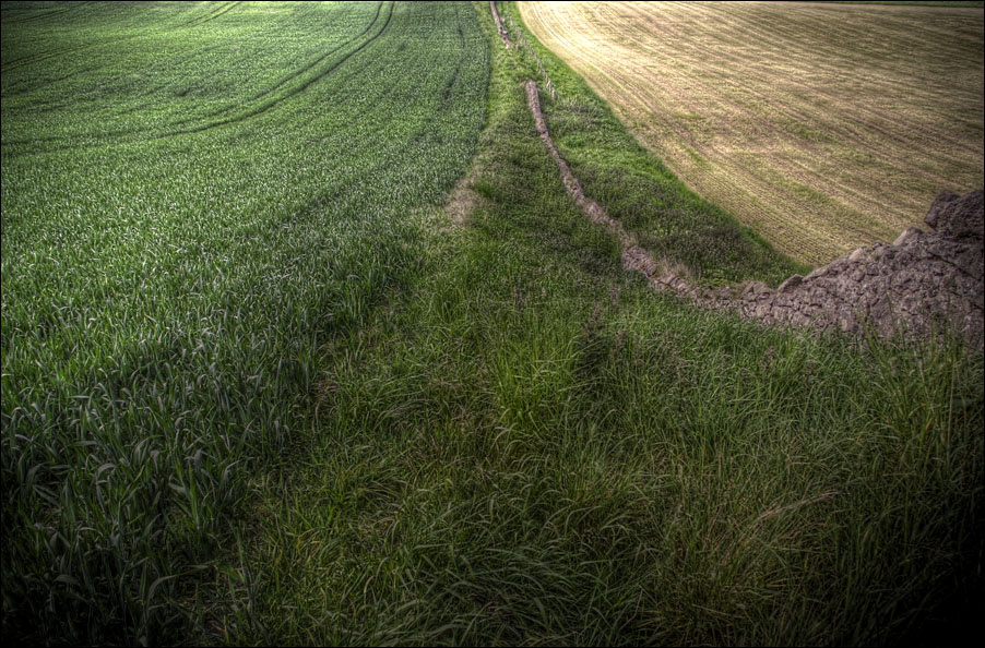 Fields with Stone Wall