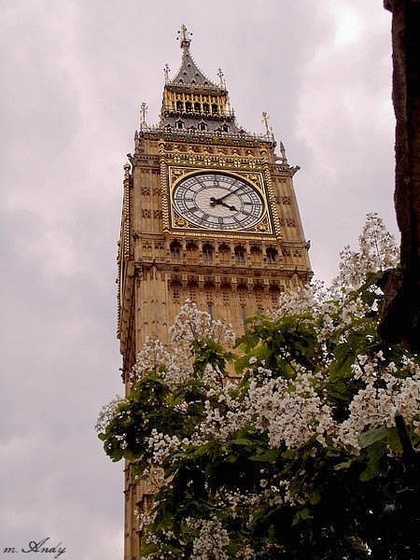 Big Ben virággal