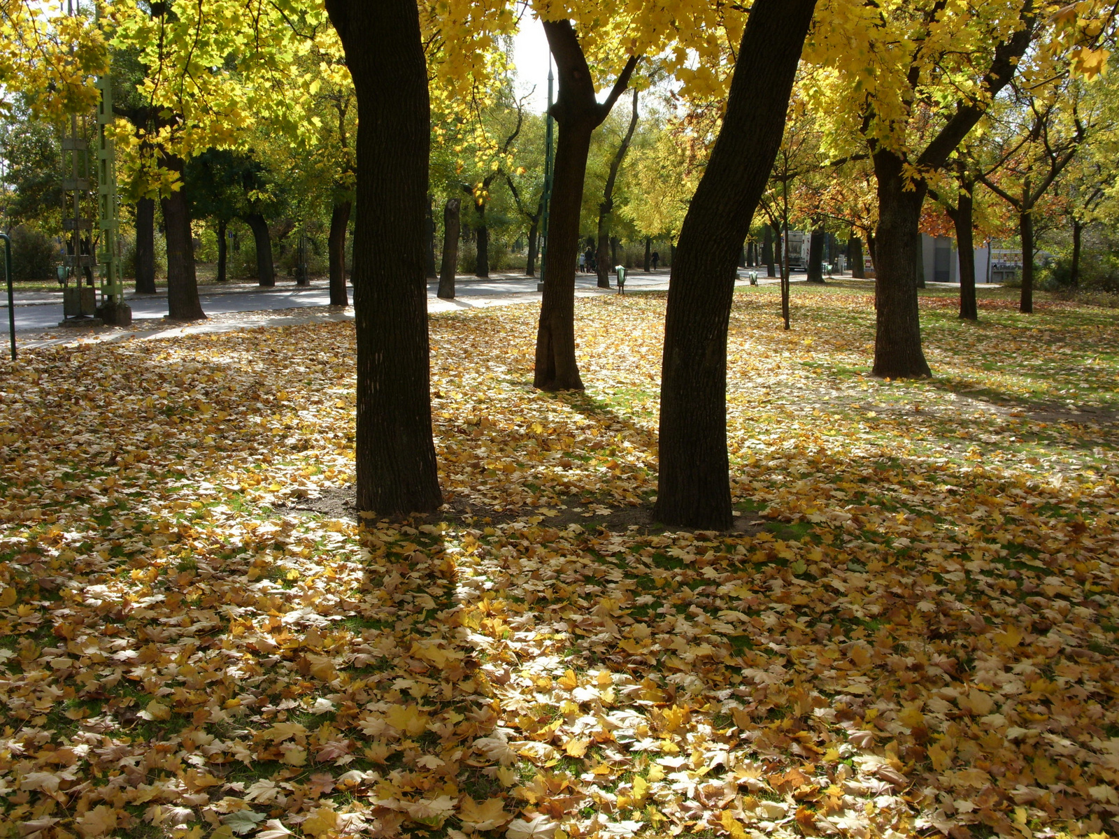 Ősz (Városliget)