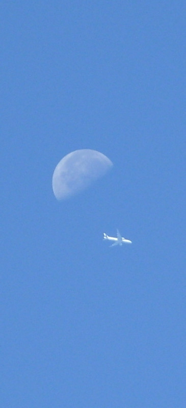 Hold és repülő