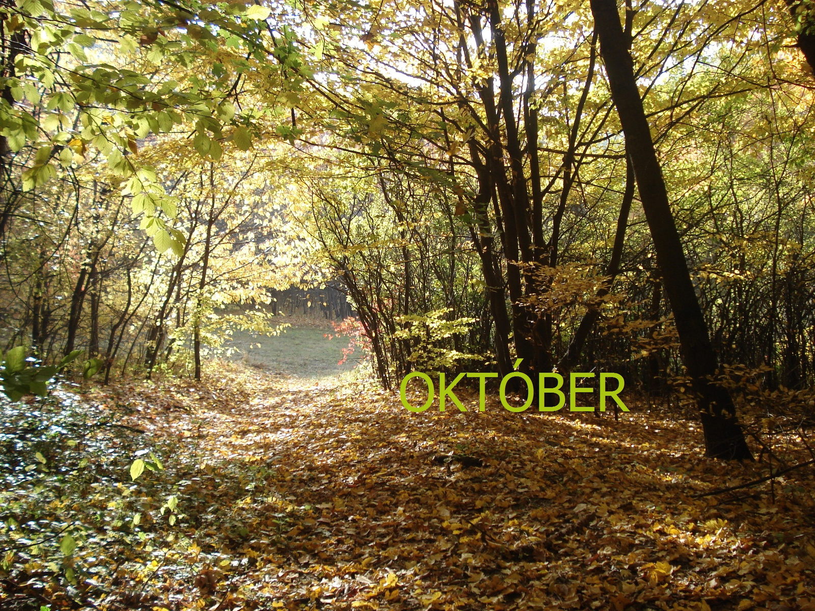 Oktober