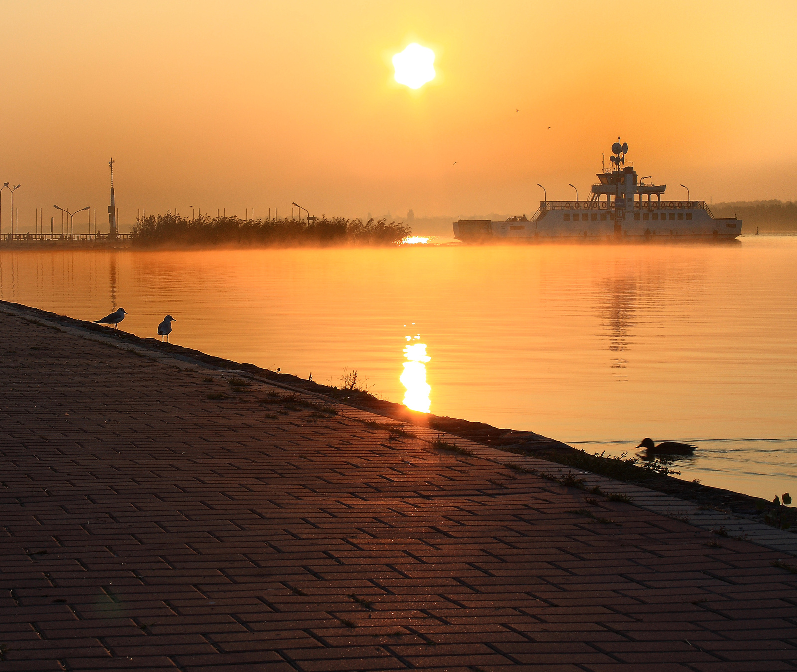 TIHANY FERRY