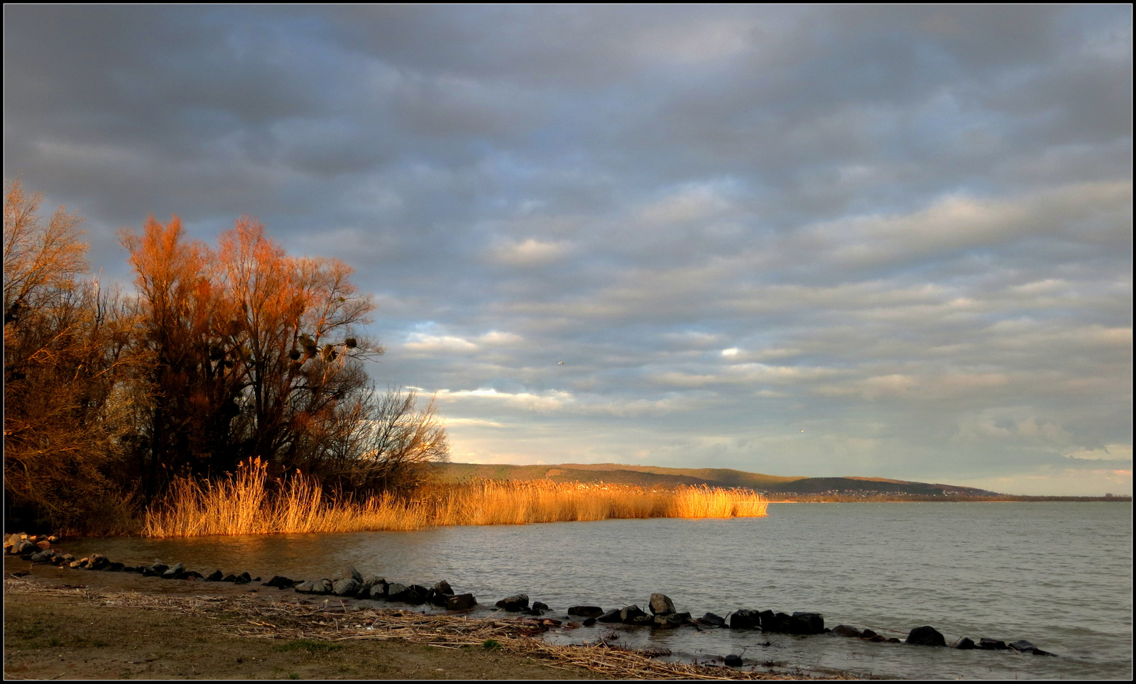 Balaton